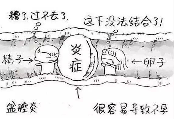 「备孕那些事儿」发病率较高的妇科炎症之一！中医综合治疗有妙招