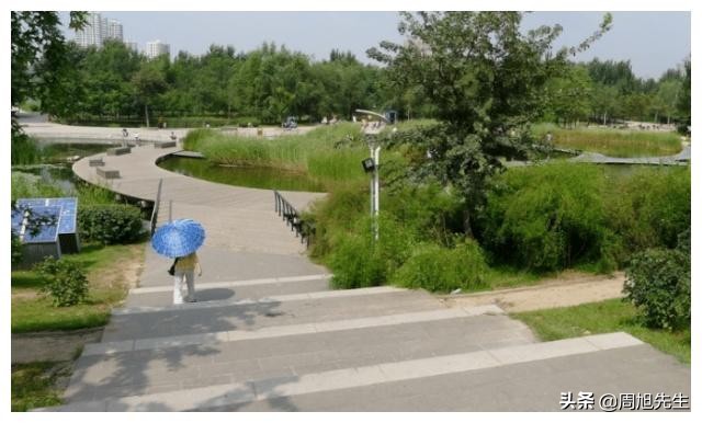 沈阳长白岛网红打卡,沈阳长白岛森林公园旅游攻略