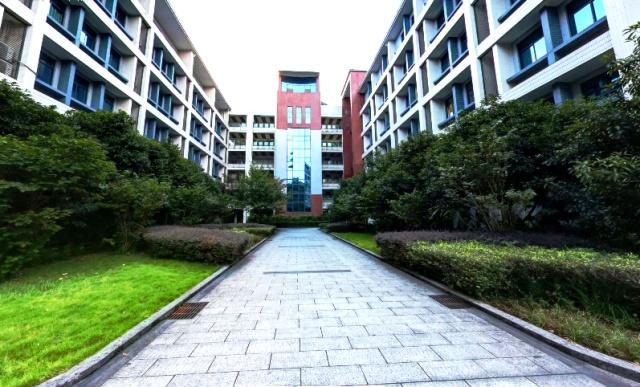 四川外国语大学位置在哪里,四川外国语大学为什么在重庆