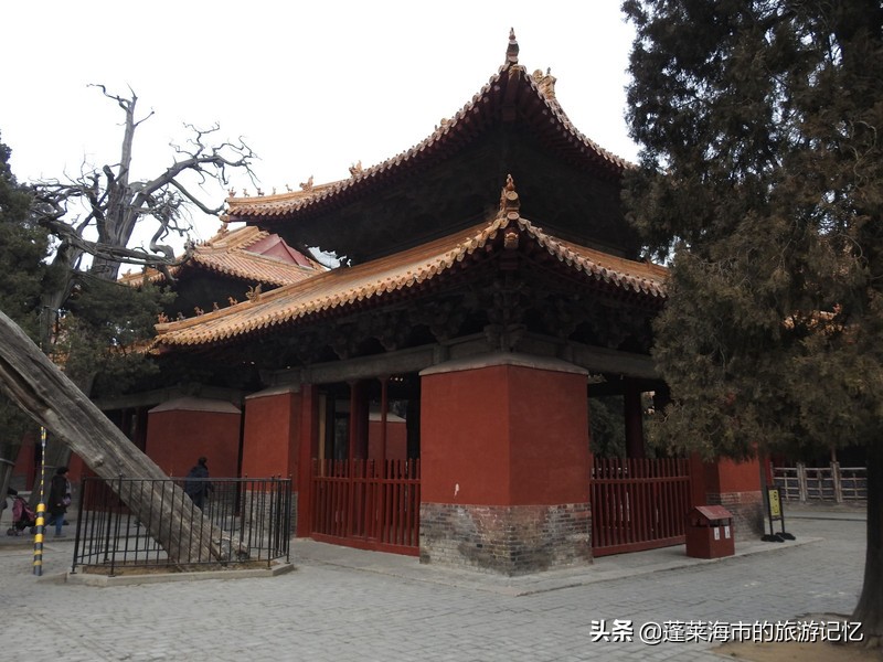 向经典致敬向传统致敬,向经典致敬弘扬传统文化