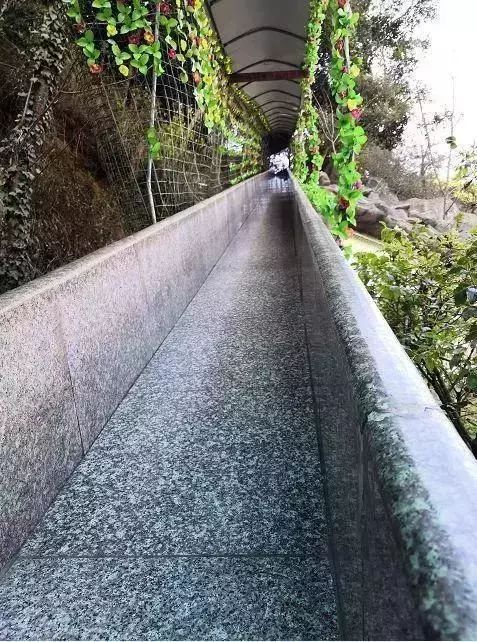 为什么玉溪适合避暑旅游,云南玉溪延河避暑