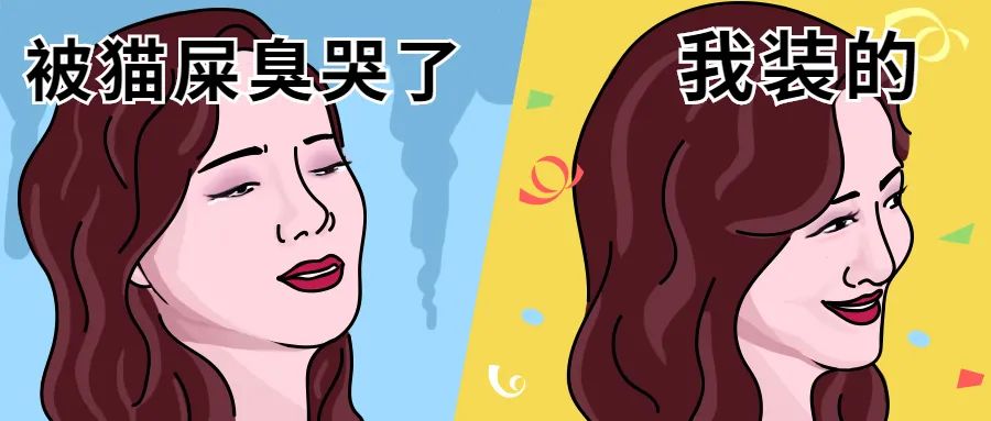 猫咪臭粑粑的解决方法,猫咪窝的屎很臭该怎么办