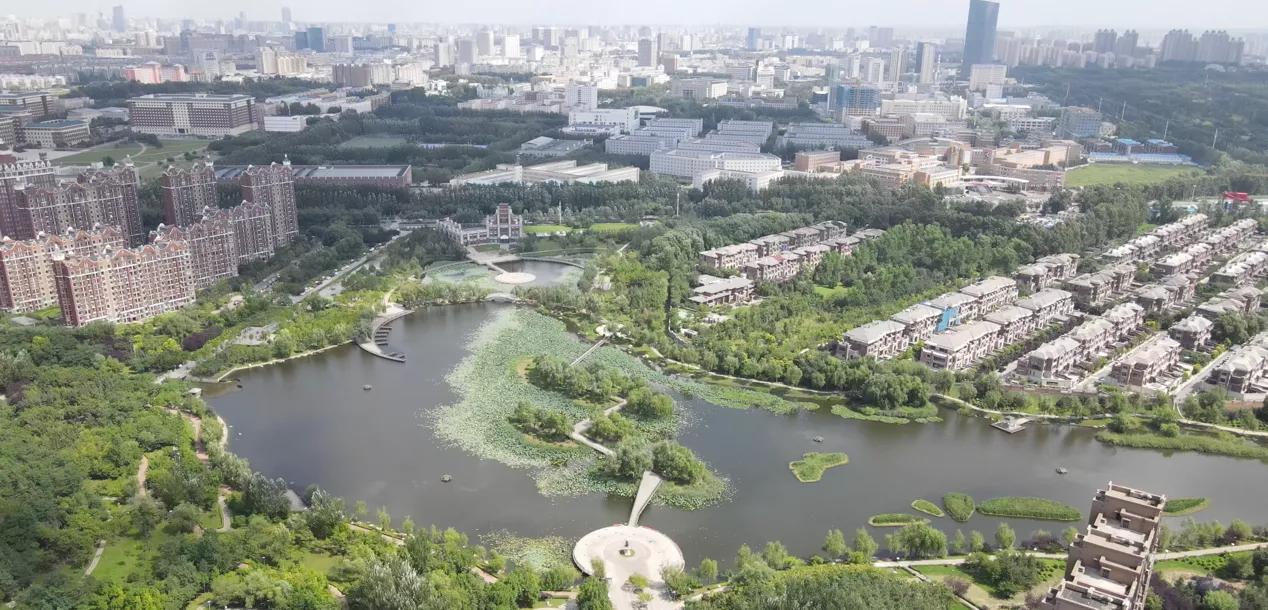 长春高新最深度解析,长春高新区发展前景
