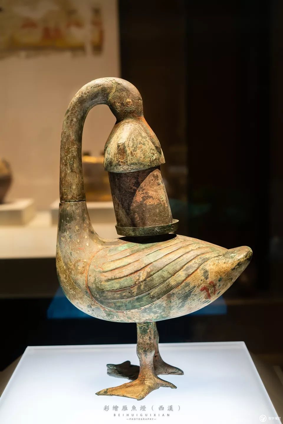 一起去博物馆发现古老的神器,陕西历史博物馆游览全攻略