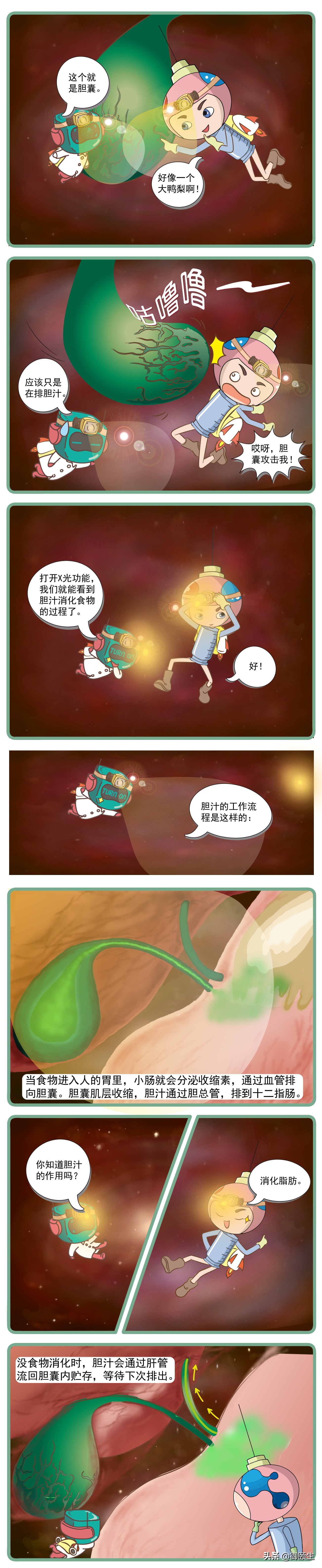 春天胆囊炎容易复发,如何判断是胆囊炎还是胃病