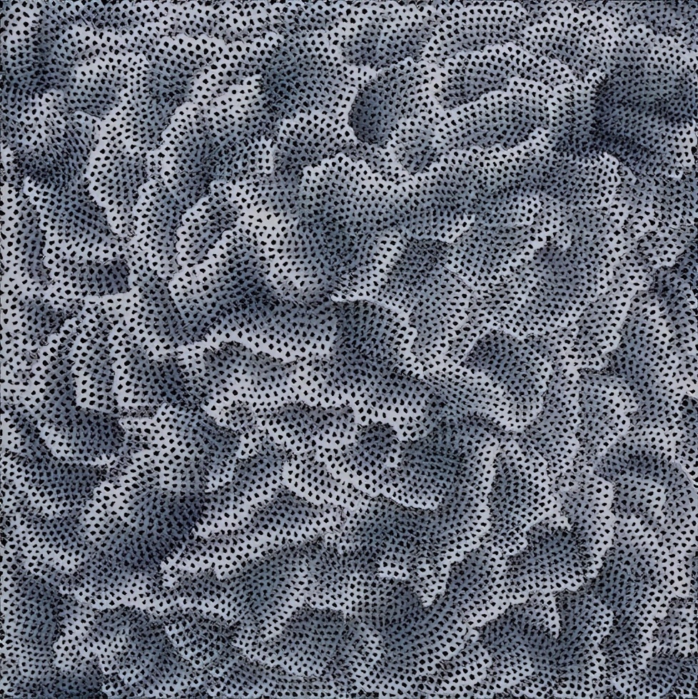 90岁女艺术家，身价几十亿，独居精神病院43年：艺术一半是情色，一半是幻想