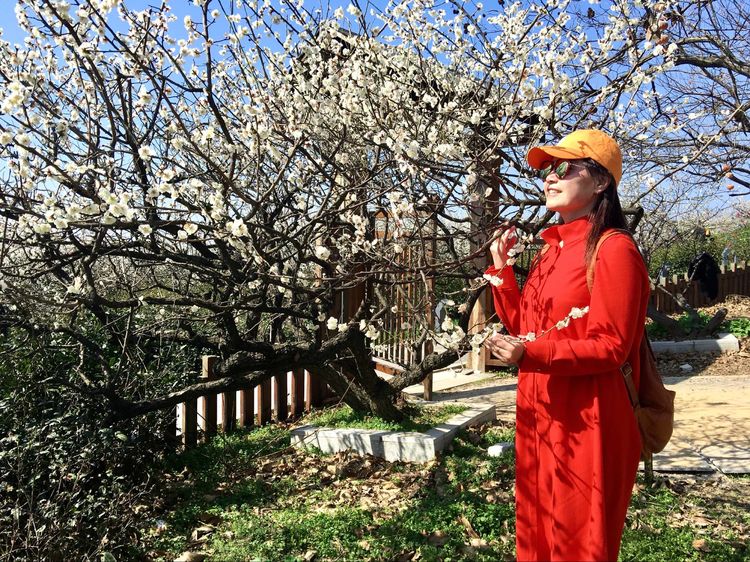 傅家边野营,走进金溪傅家村