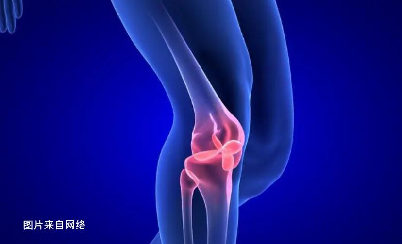 跳绳减肥什么逻辑,跳绳减肥靠谱吗