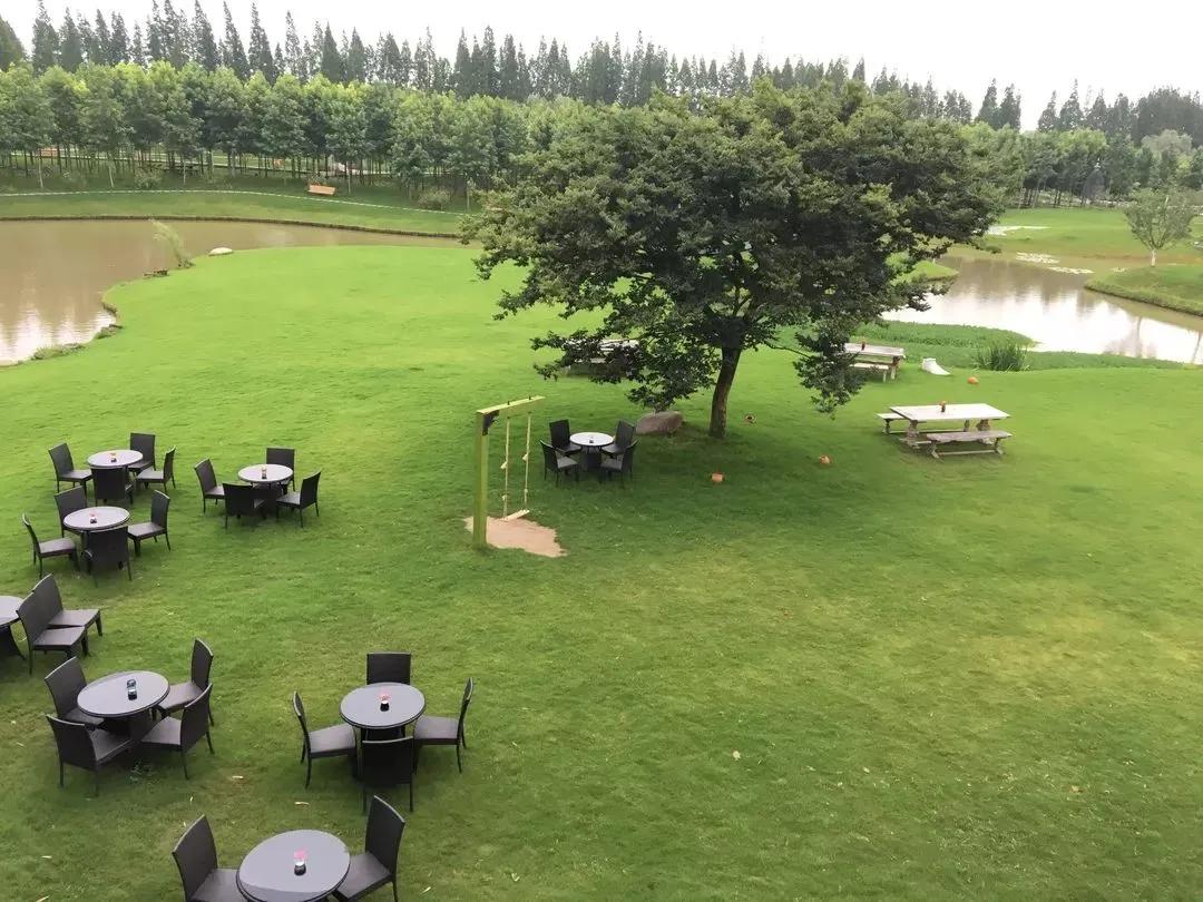 农村新型果园6亩赚钱方式,果园农场怎么赚钱