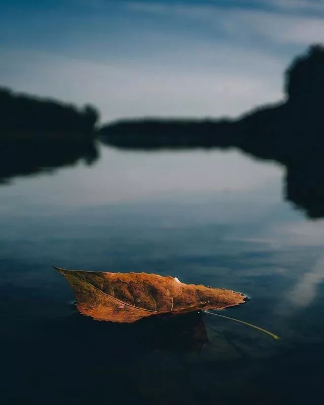 广东真的没有秋天凉吗,广东是没有秋天的吗文案