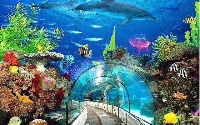 包头最热门的四个景区，以下四个，你玩过哪一个？