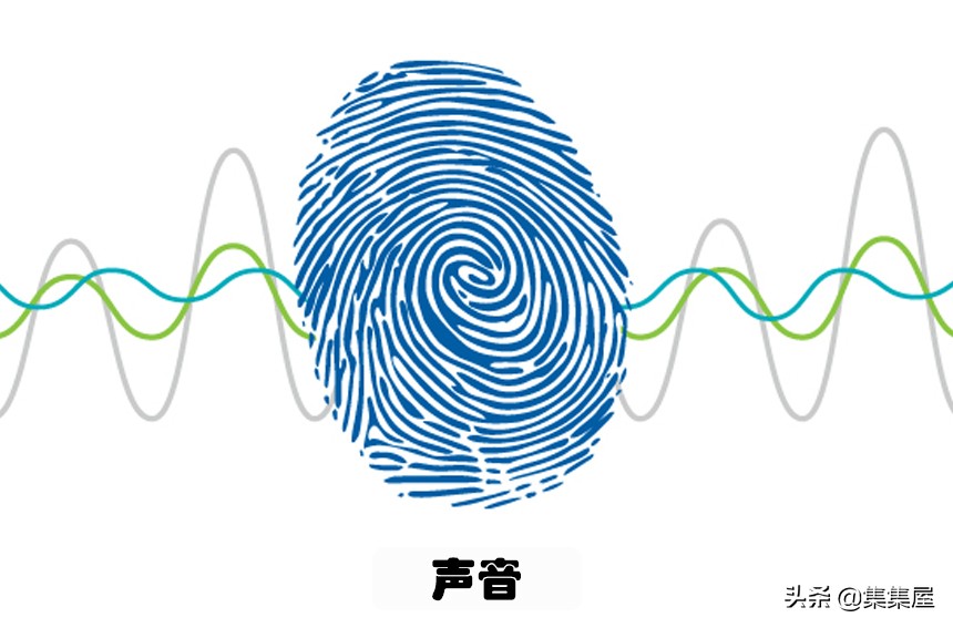 世界上最奇特的指纹,除了指纹还有什么是独一无二的