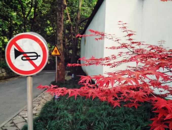 灵隐寺招人，10万网友求职上热搜！4点下班、KPI随缘，条件就一个