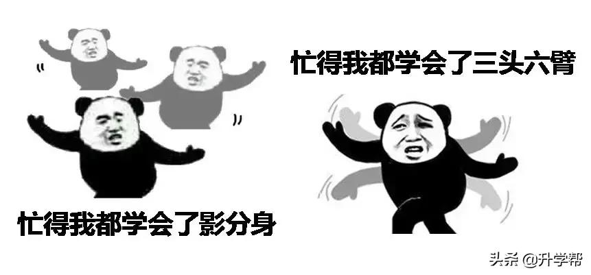 华西建档详细步骤,华西第二医院产科建档