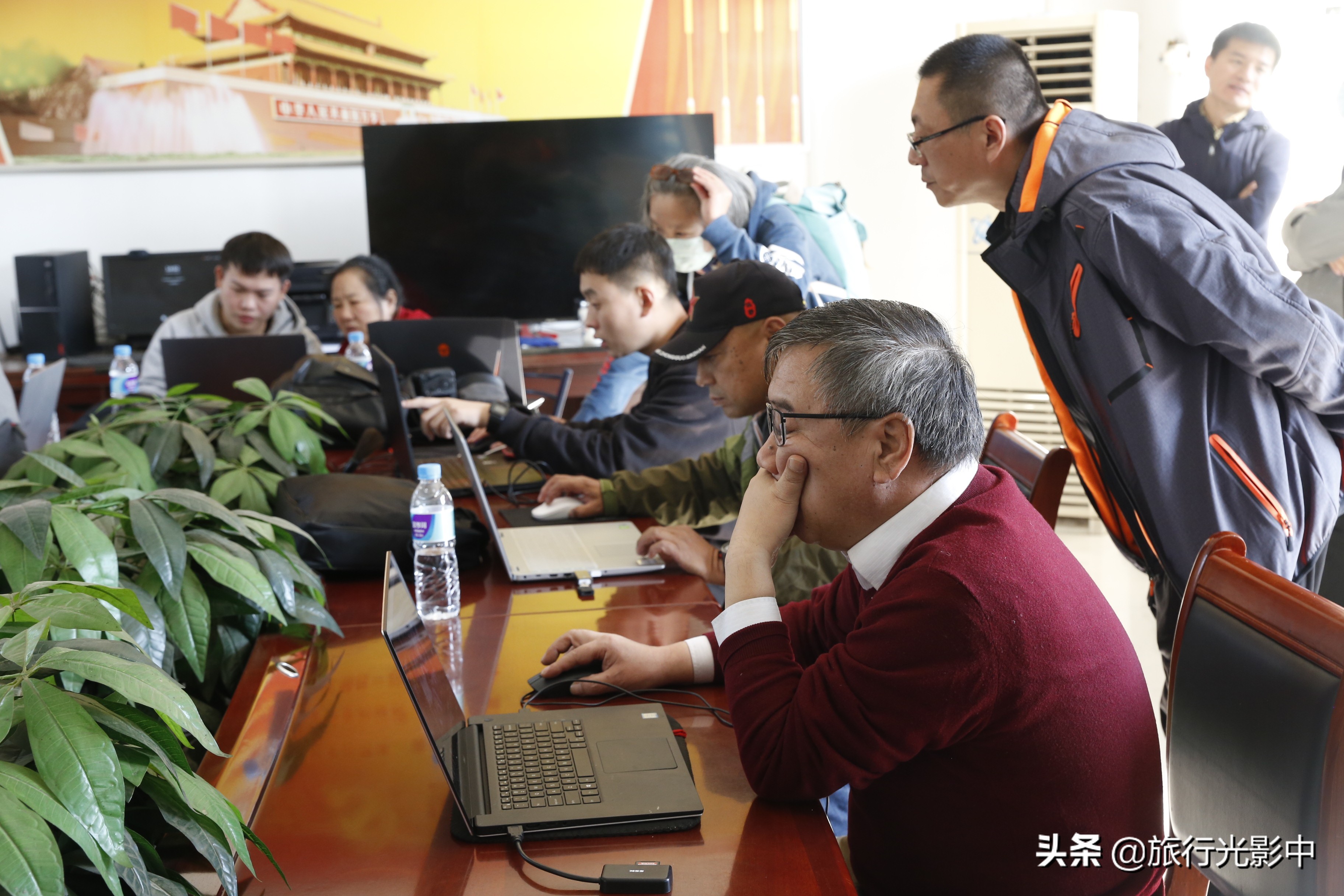 济南顶级摄影大咖,用镜头告诉你盆王菊花有多美