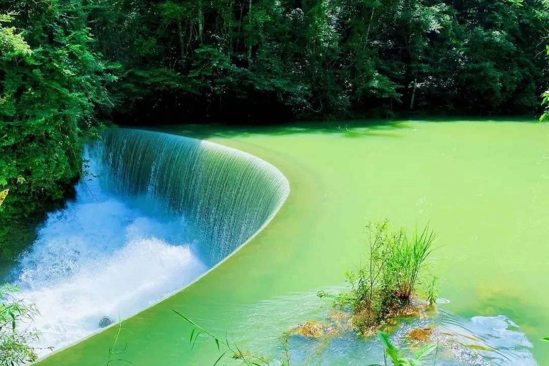 绝妙三喻：连珠、蝉联和顶针