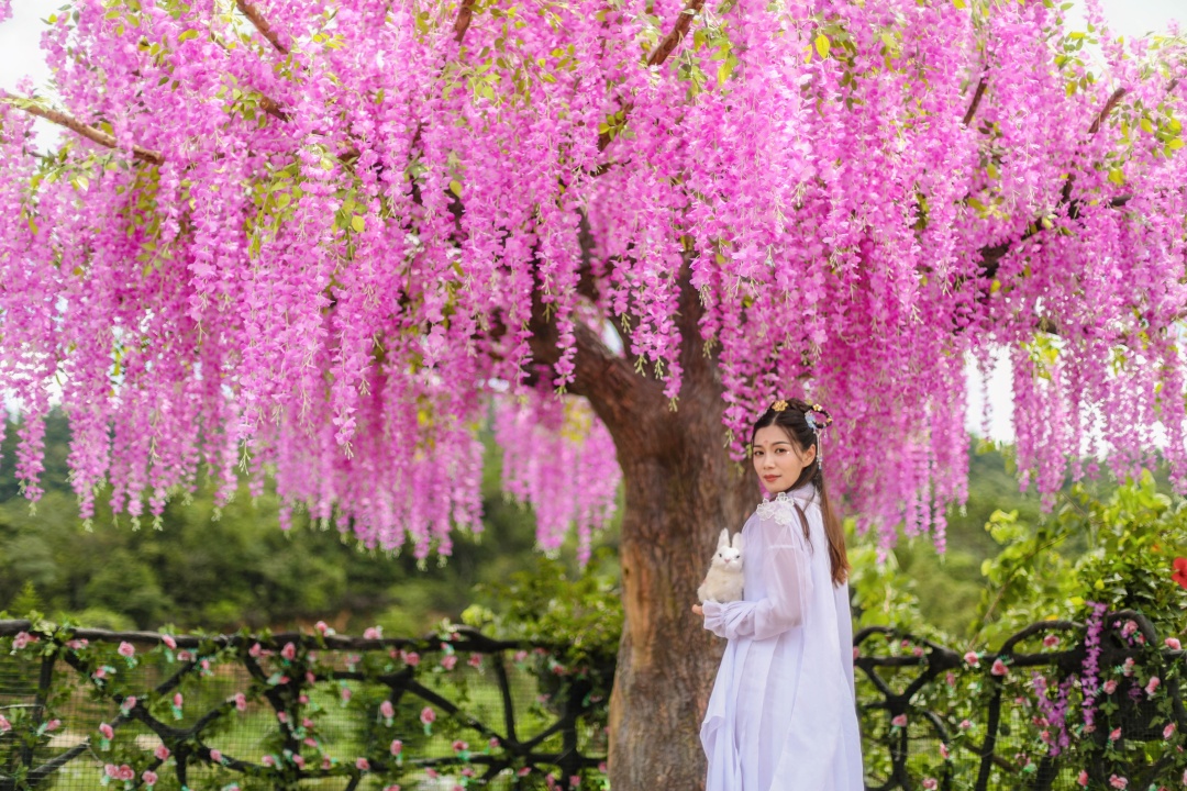 压箱底攻略,观音山最佳打卡点