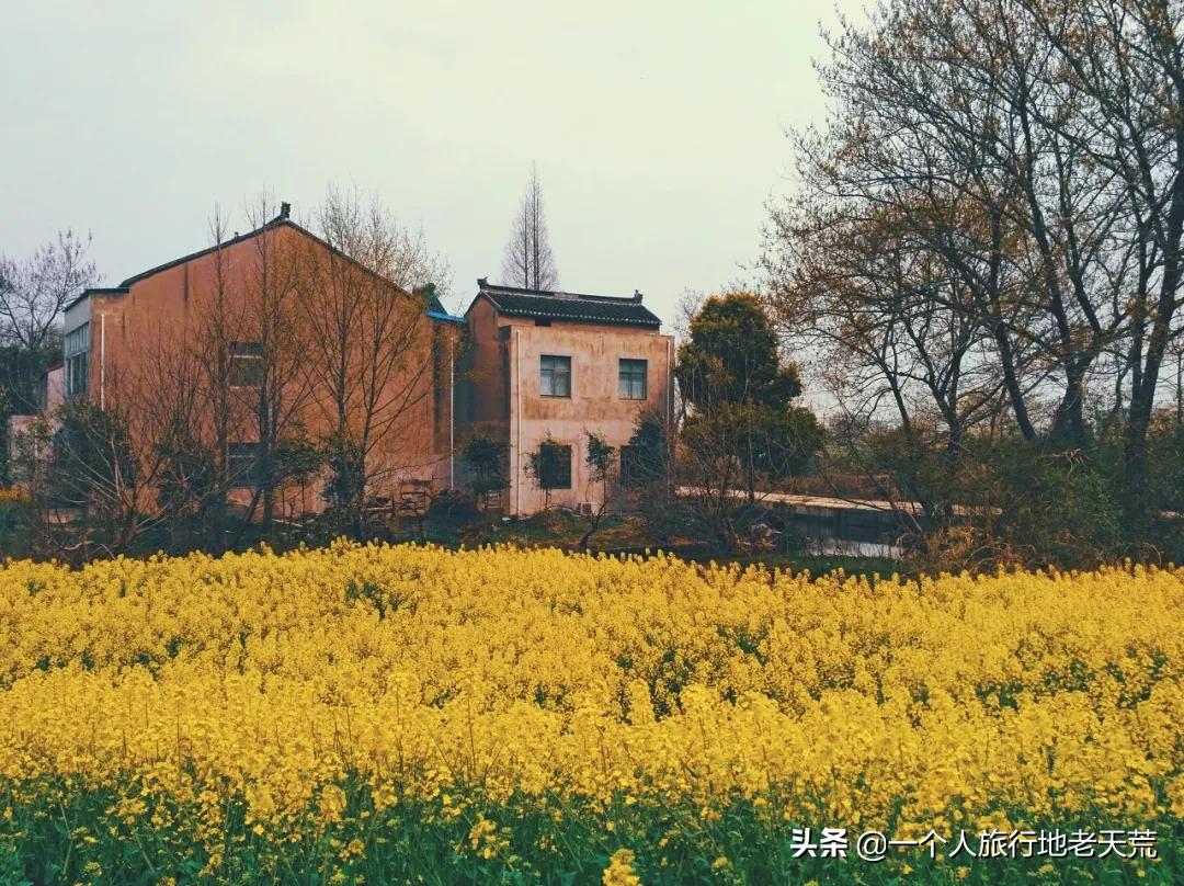 原来它才是江苏最安逸城市，累了就去小住几天