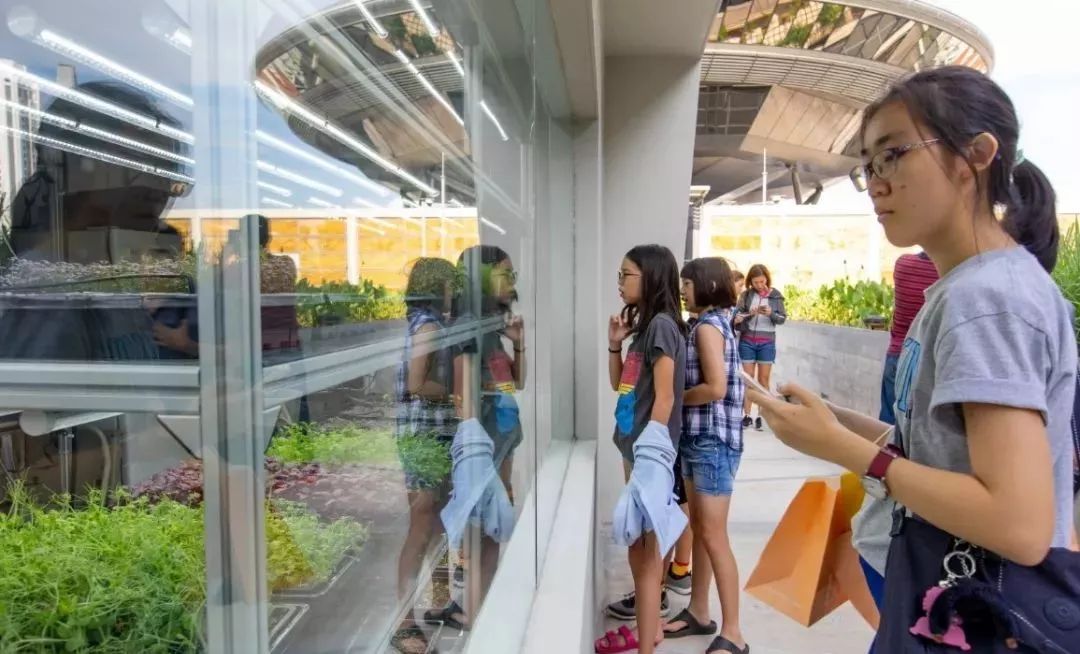 新加坡最奢华购物中心,新加坡黑科技商场