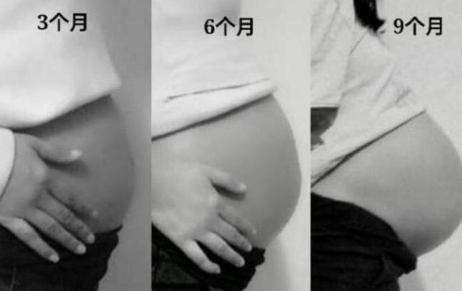 10周、20周、30周,胎儿分别是什么状态,看完满是感动,期待出生