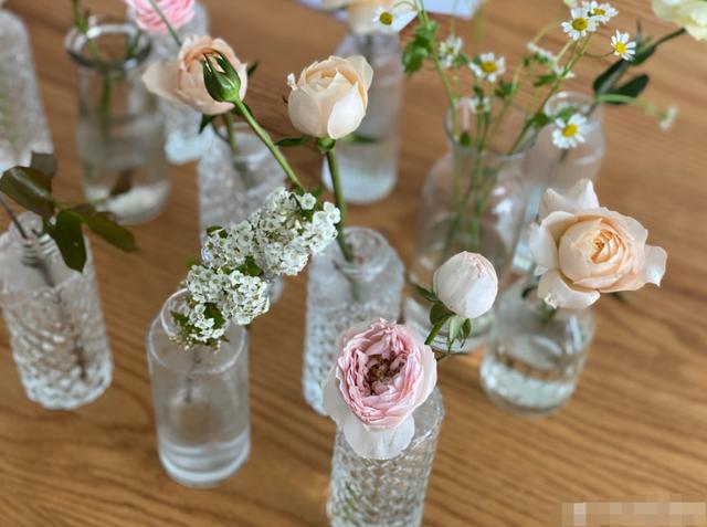 带货网红第一人,网红带货第一人