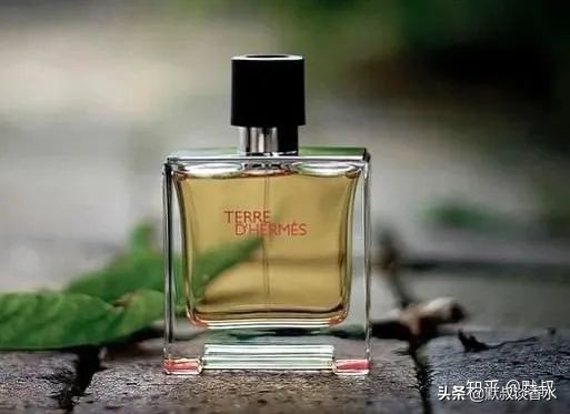 叶落方知秋完整版,适合春夏秋冬的大牌香水