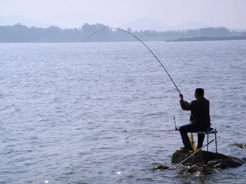 闲着木事儿，你来俺家玩儿呗