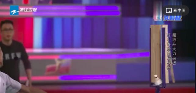 观看林丹羽毛球赛心得,看林丹羽毛球比赛全集