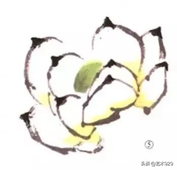 荷花的画法和步骤图解,最简单的荷花画法一学就会