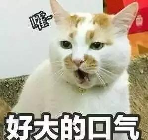 95后自编“房中术”教材诈骗五千万，号称打造“21世纪最伟大公司”