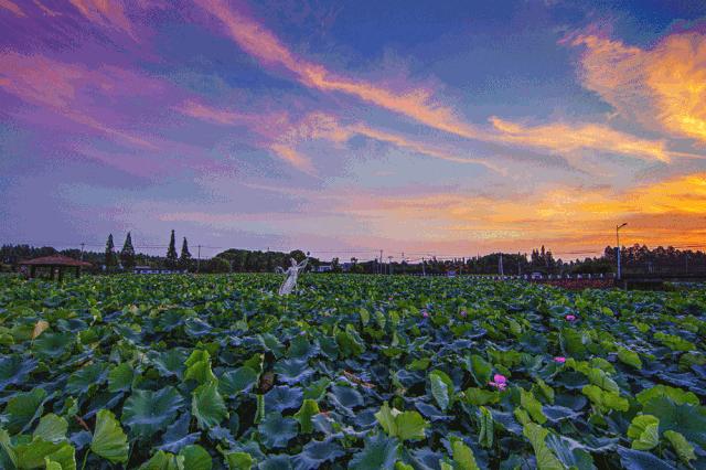 欢呼!余杭9条精品旅游线出炉!瓶窑、塘栖、中泰...太惊艳了!