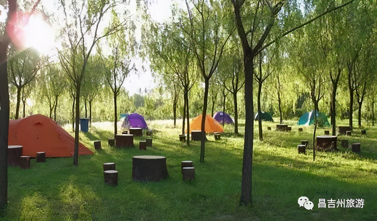 昌吉温泉推荐,打卡昌吉网红森林音乐喷泉