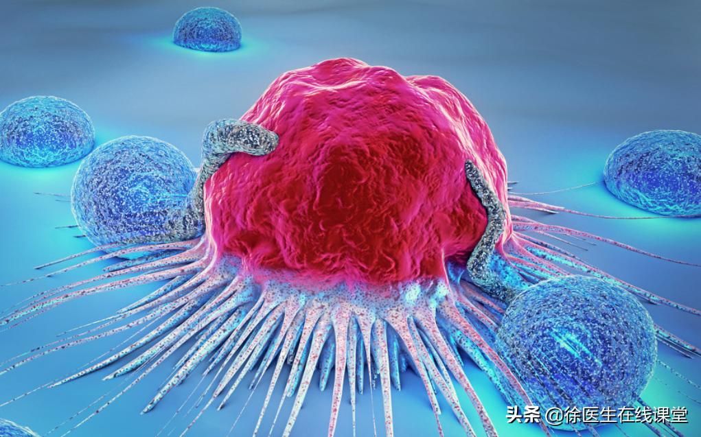 肿瘤化疗白细胞减少可以用什么药,肿瘤患者白细胞高可以用化疗药吗