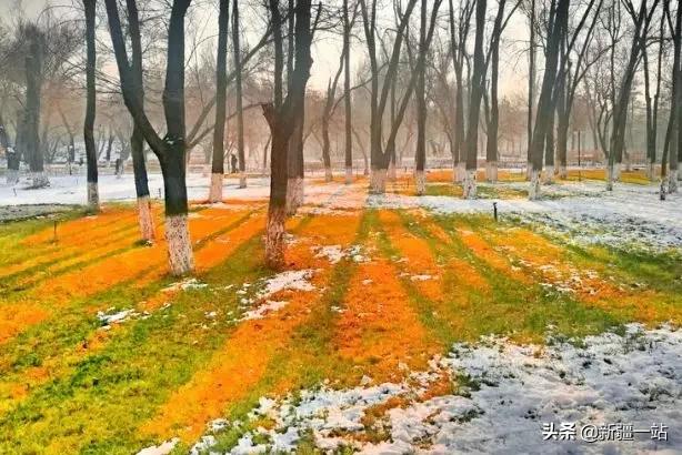 老城回忆乌鲁木齐,乌鲁木齐值得回忆的地方