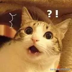 有哪些容易忽视的妇科病,十种常见的妇科病