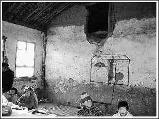 中式教育vs德式教育,地摊式培训