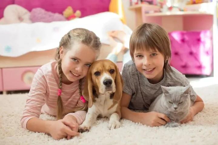 铲屎官不能不知道的养猫的那些事,养猫脏还是养狗脏