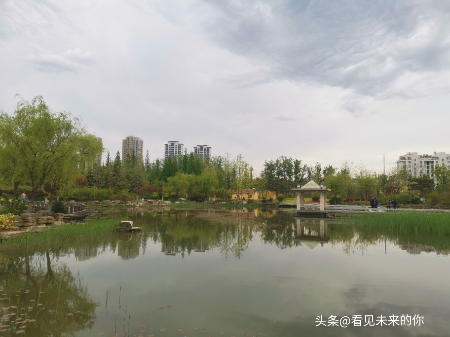 烟台开发区福莱山公园最新消息,烟台开发区福莱山公园喷泉时间