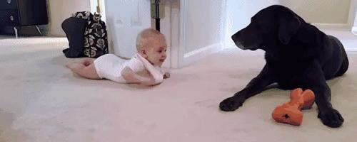 这四种食物已被医生拉入黑名单,这三种婴儿用品被列入黑名单