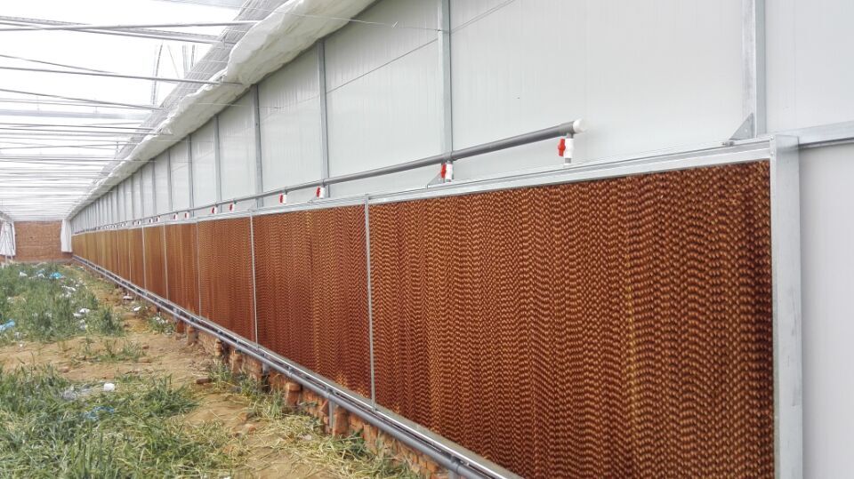 简易连栋温室大棚一亩地多少钱,河北连栋温室大棚一亩地多少钱