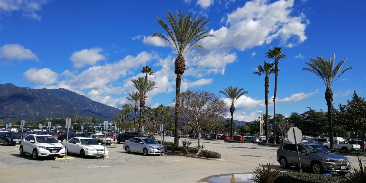 美国文化震撼之旅,美国文化生活的真实感受