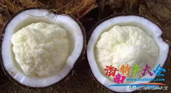椰子在海南话有什么别的意思吗,椰子在海南的地位