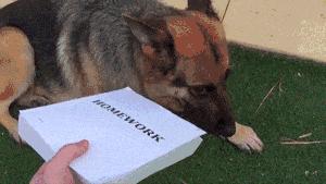 搞笑gif妹子的内心是崩溃的,搞笑gif妹子原来是个逗比