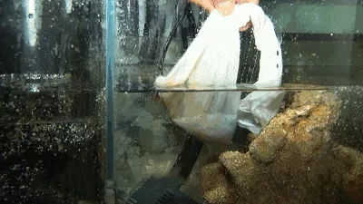 一篇文章带你初步了解,一篇文章弄懂hashmap底层