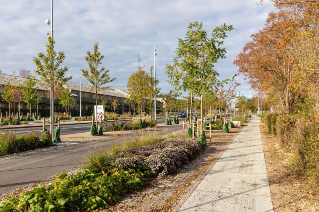 道路设计效果图,个性路面设计