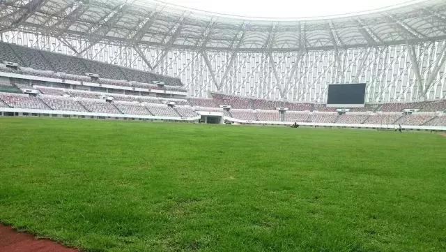 粤港澳大湾区足球超级联赛,粤港澳大湾区青少年篮球联赛冠军