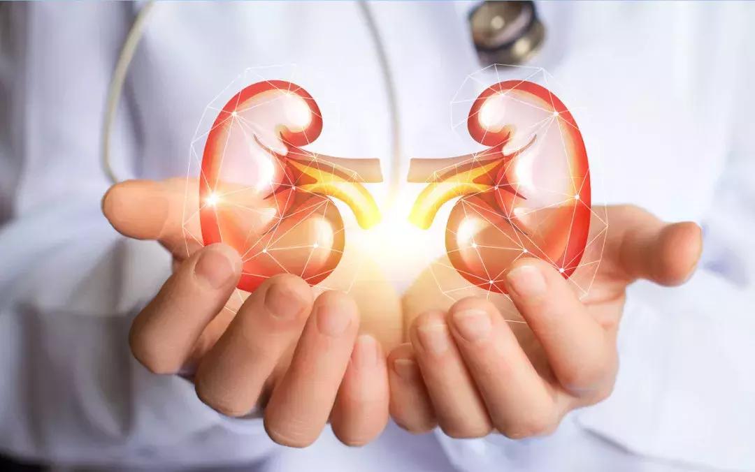 初次乙肝抗病毒治疗选etv还是taf,乙肝抗病毒药taf多久能吸收