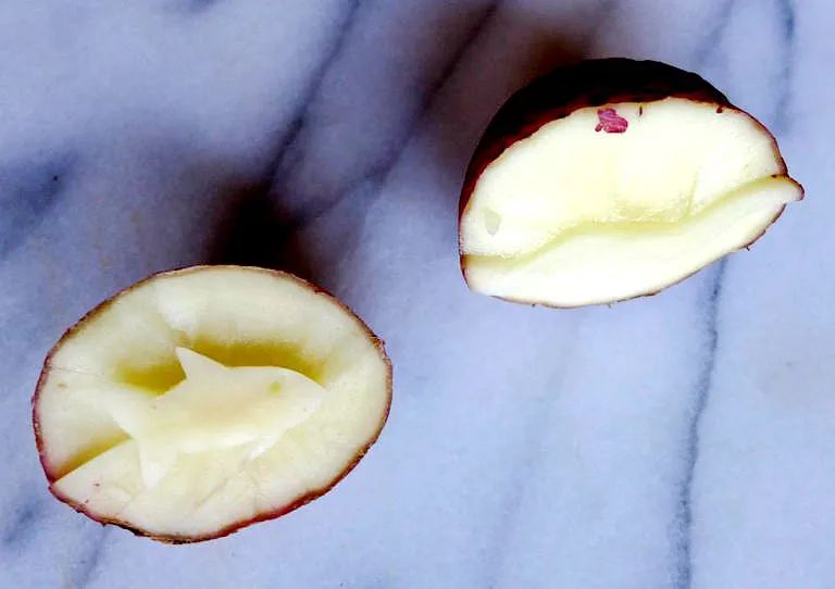 3-6岁必看十本绘本阅读游戏排行榜,超强阅读干货