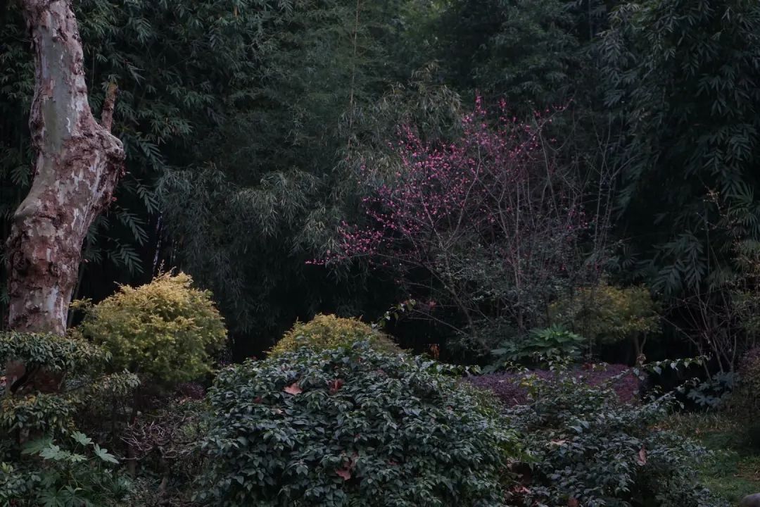 陆游春节的诗,陆游写的关于成都的诗