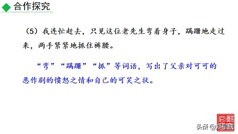 七上人教版第十七课动物笑谈课件,七上语文动物笑谈